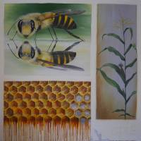 Bienensterben - 100x100cm - 2016